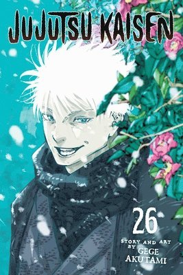 Cover for Gege Akutami · Jujutsu Kaisen, Vol. 26 - Jujutsu Kaisen (Paperback Book) (2025)