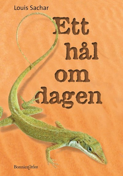 Cover for Louis Sachar · Ett hål om dagen (Gebundenes Buch) (2001)