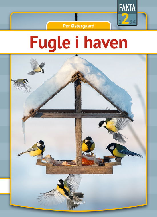 Cover for Per Østergaard · Fakta 2: Fugle i haven (Hardcover Book) [1st edition] (2025)
