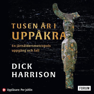 Cover for Dick Harrison · Tusen år i Uppåkra : en järnåldersmetropol uppgång och fall (Audiobook (MP3)) (2022)